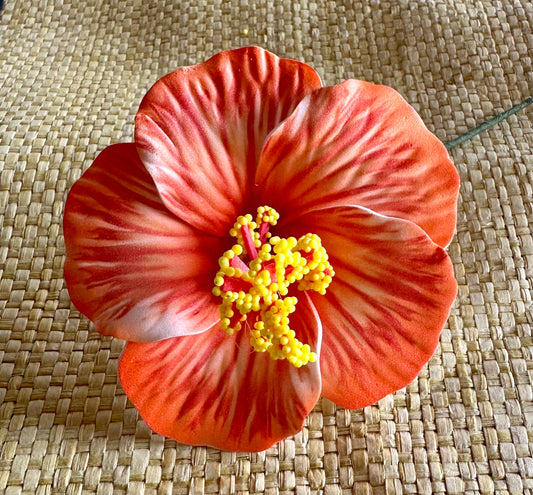 Hibiscus Sei