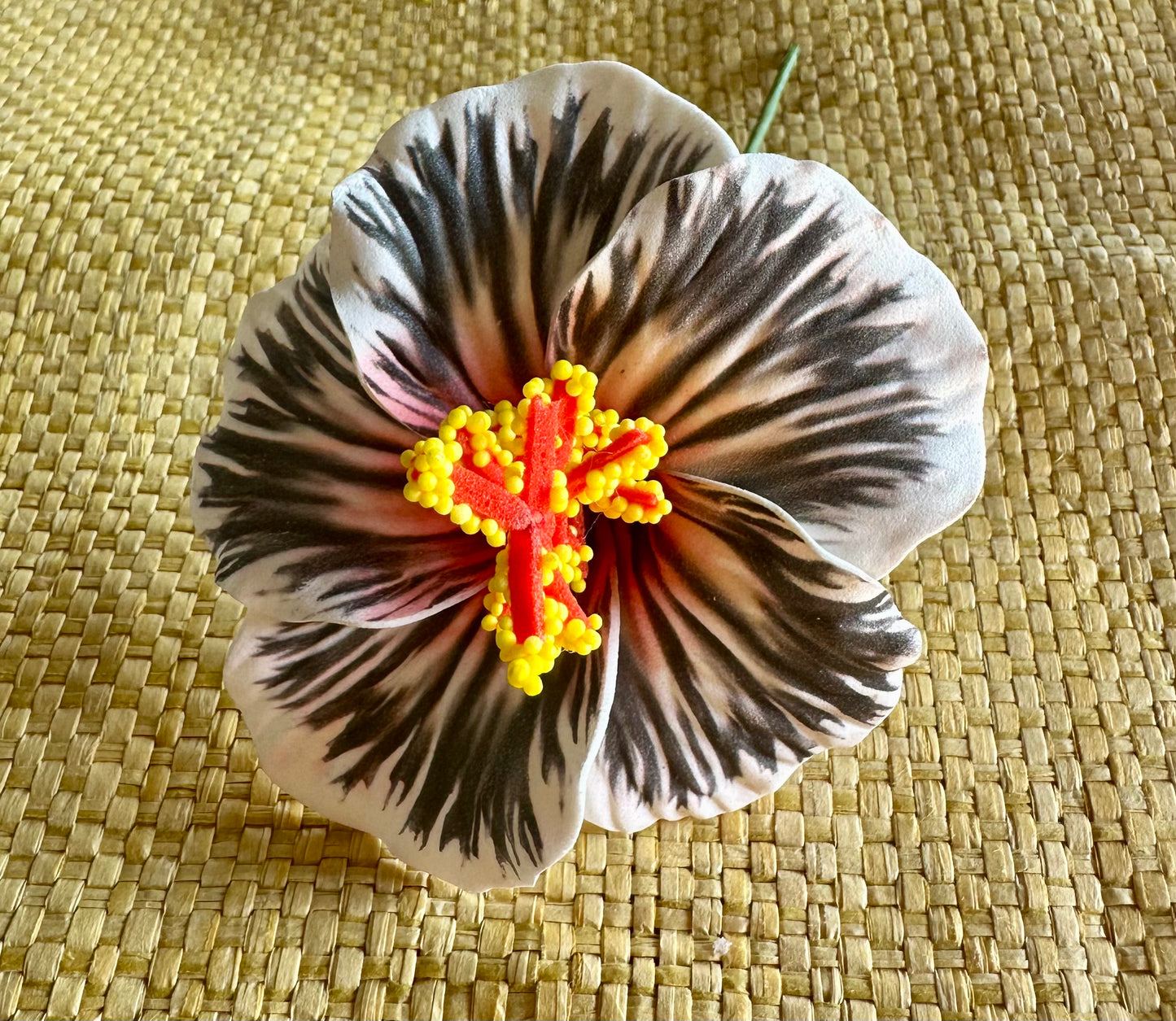 Hibiscus Sei