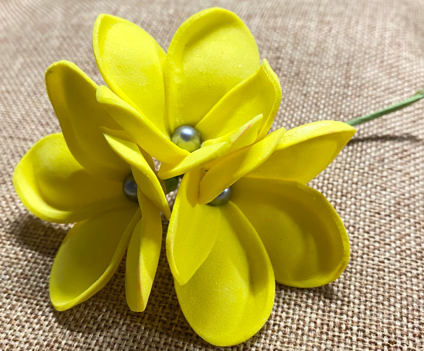 3 Plumeria Hairflower